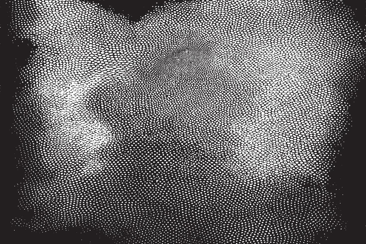 black and white monochrome overlay grunge gritty texture, illustration background texture. EPS 10 vector