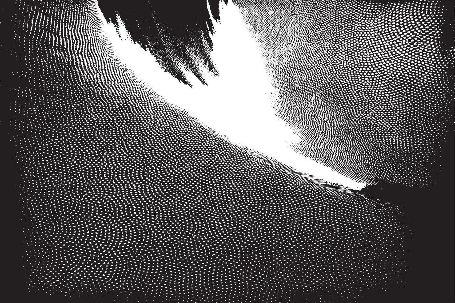 black and white monochrome overlay grunge gritty texture, illustration background texture. EPS 10 vector
