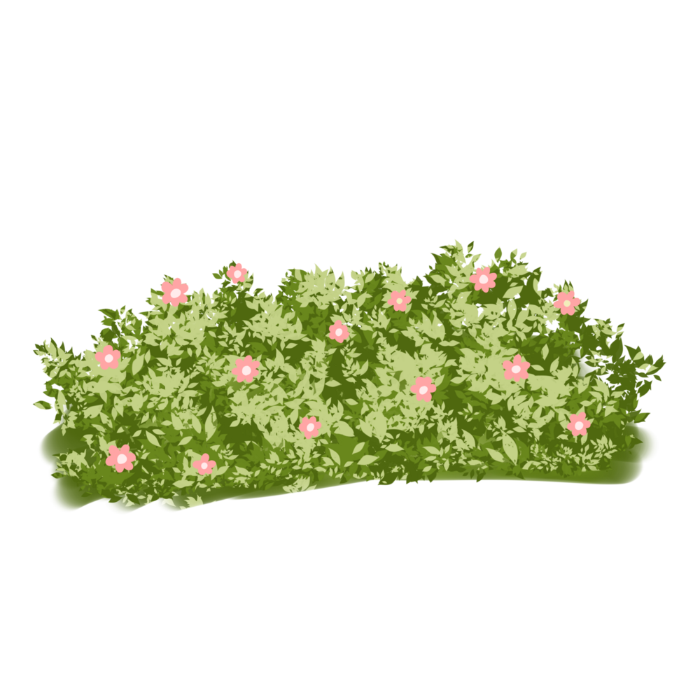 Green grass with flower png