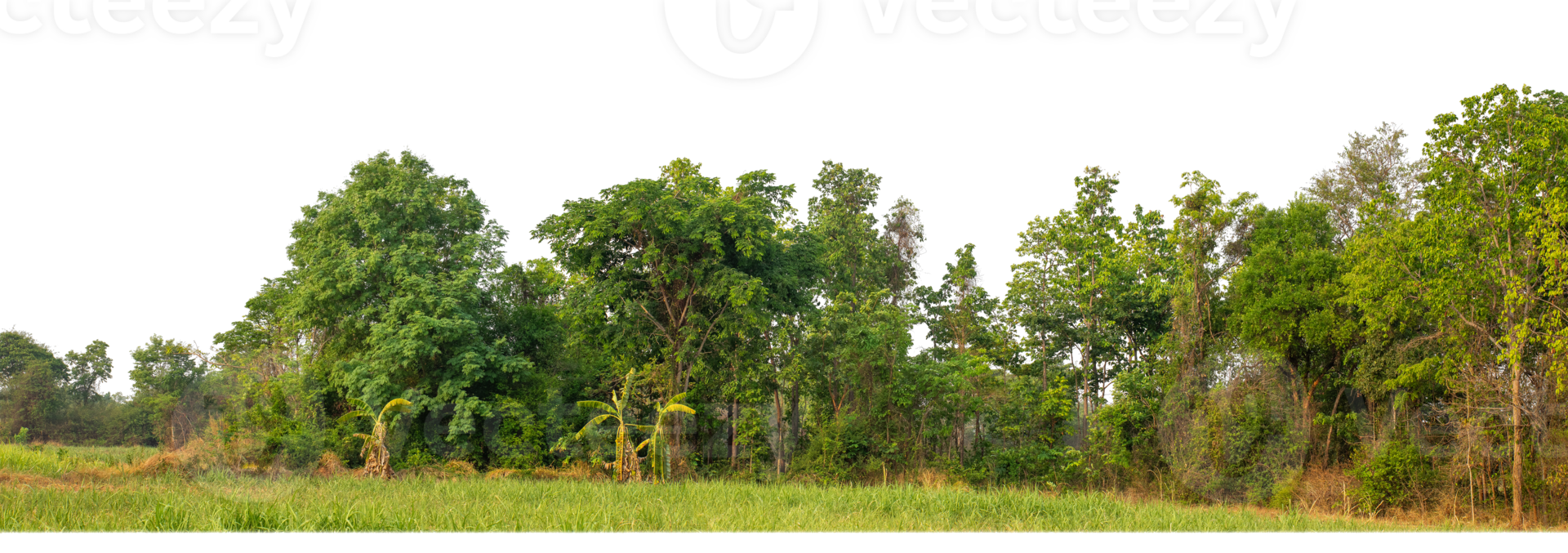 Land For Sale PNGs for Free Download