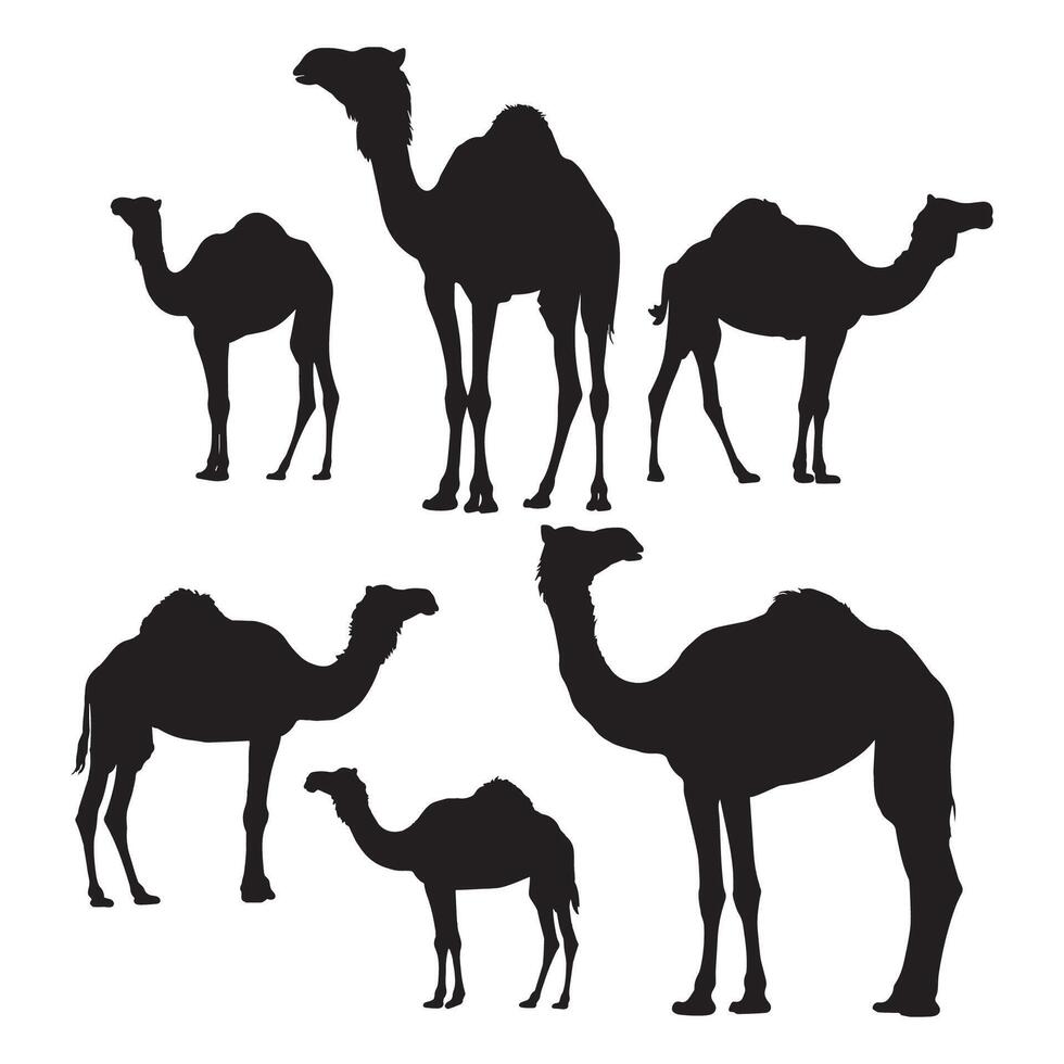 CAMEL SILHOUETTE DESIGN vector