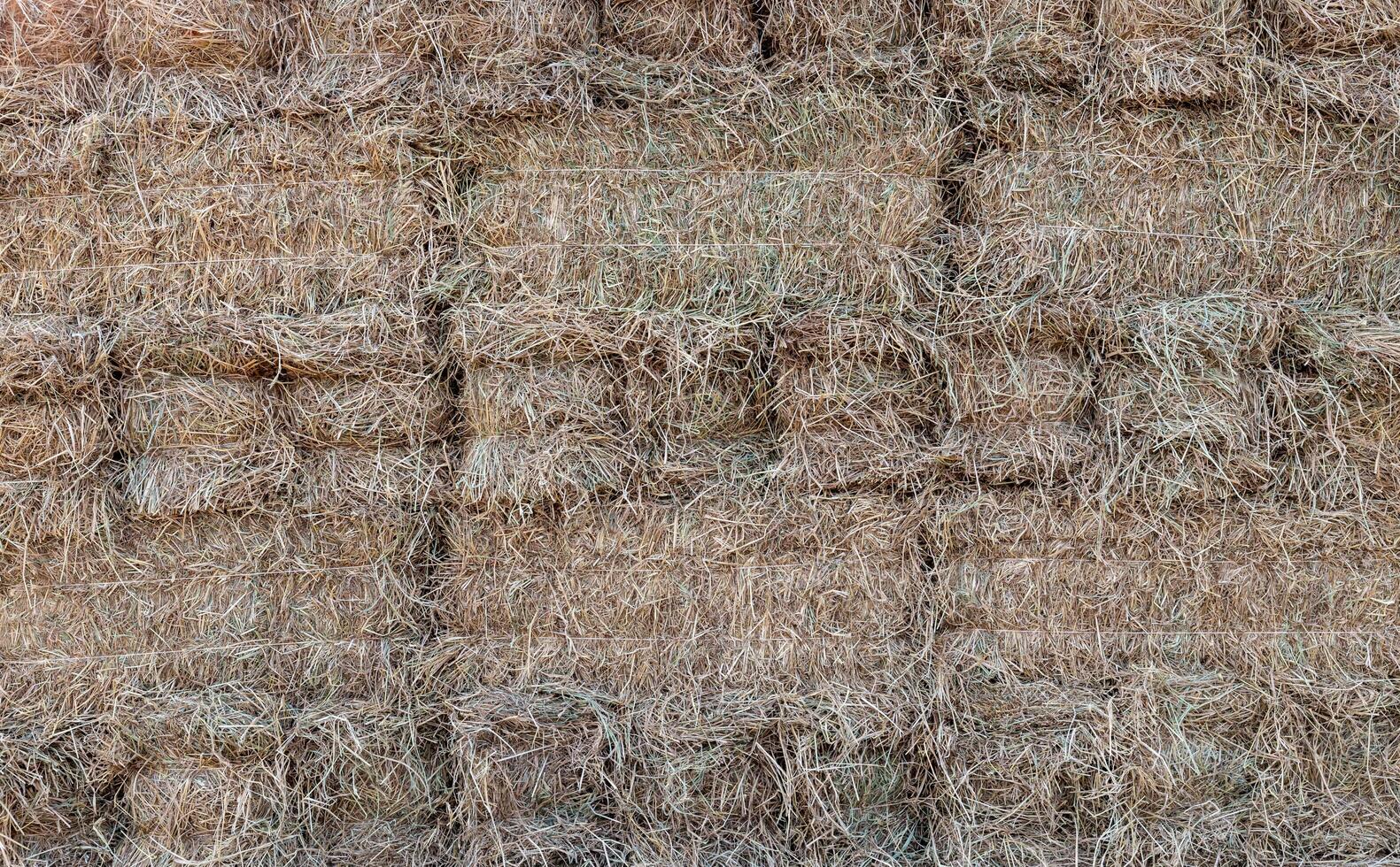 A close-up view of the background of many bales of compressed rice straw stacked. photo