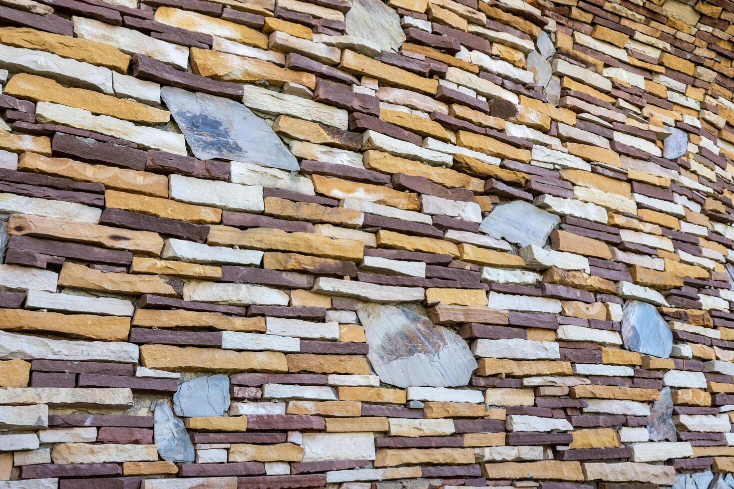 The background is a brick wall with old stone slabs that are placed irregularly. photo