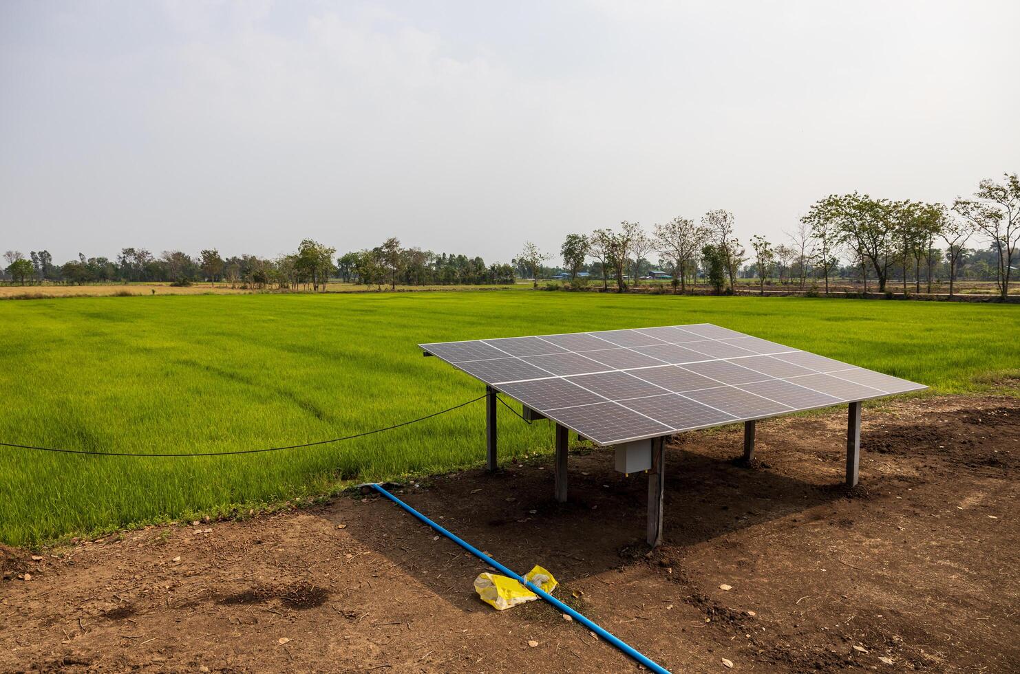 Top view of solar cell panels, an alternative energy source, installed on concrete poles. photo