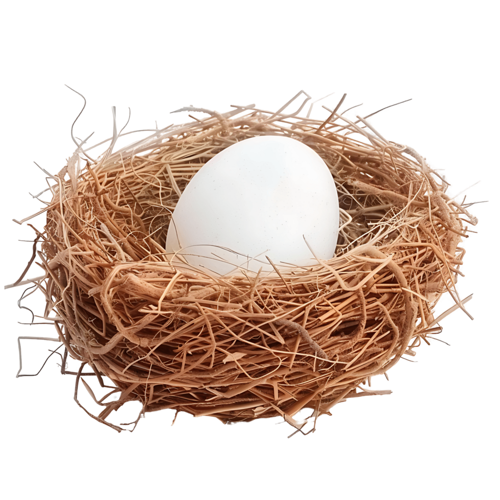 Bird Nest with Egg on Transparent Background png