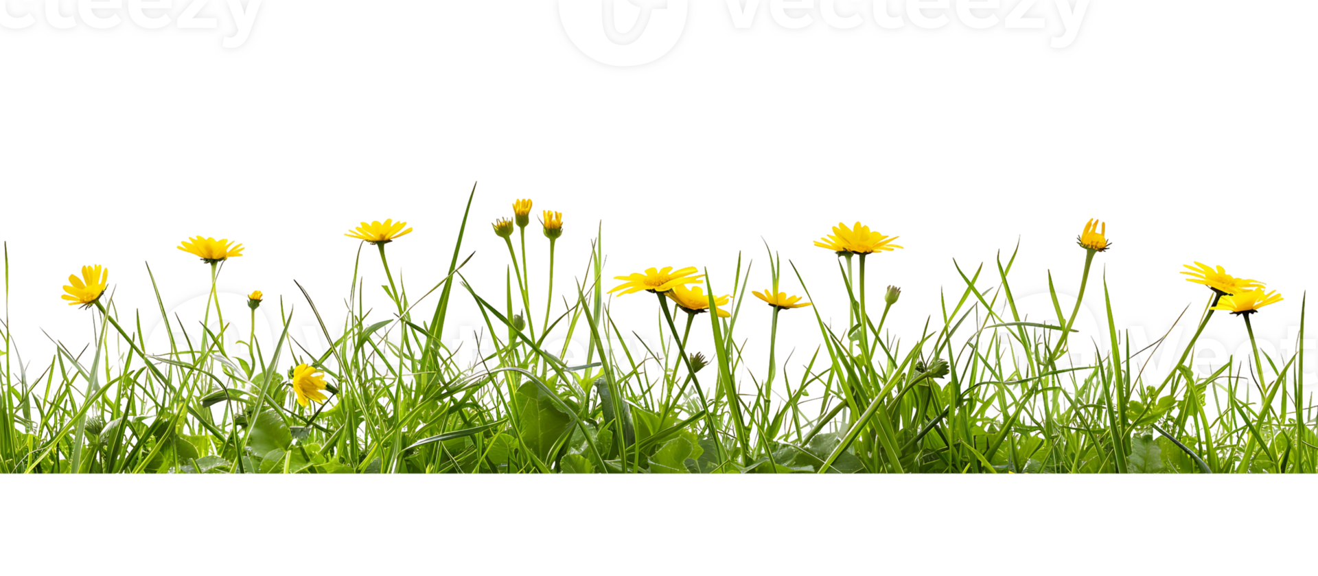 Sunny Blooms Grass Foreground Transparency png