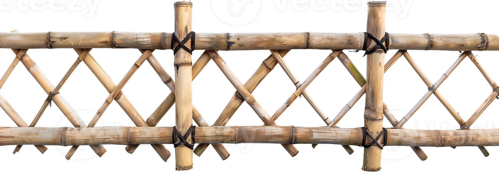 Bamboo Privacy Screen Isolated on Transparency png