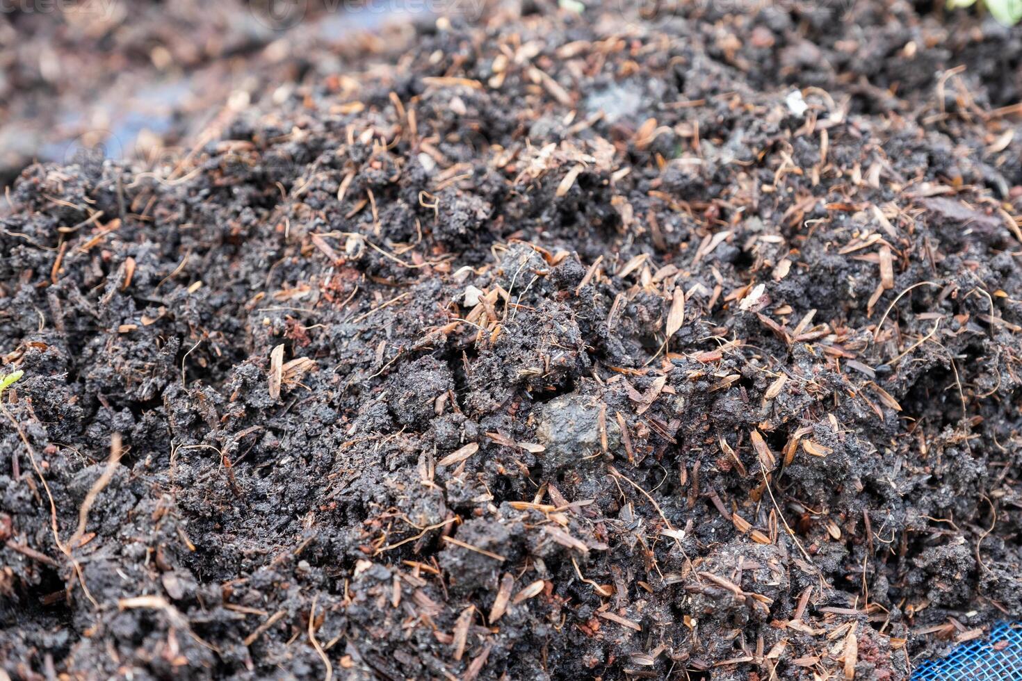 Soil and fertilizer preparing in plot photo
