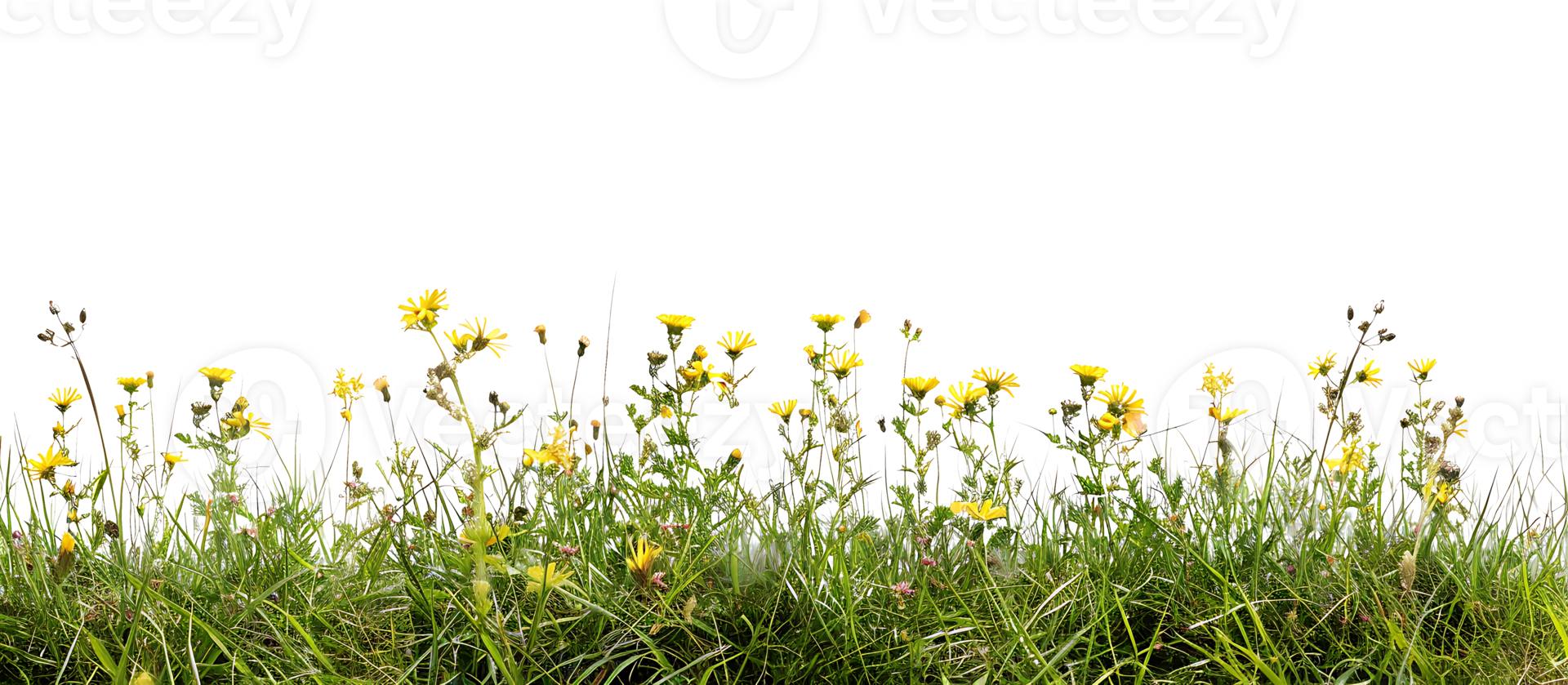 Sunny Serenity Grass Foreground with Yellow Flowers png