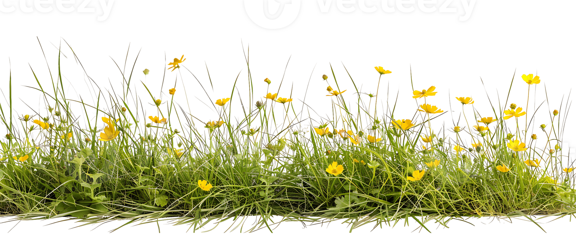 Tranquil Meadow Transparent Background Yellow Blossoms png