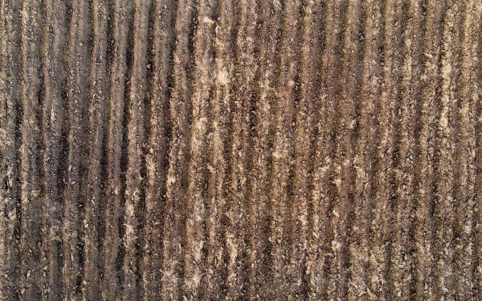 Furrow soil in plowed field prepared for farming photo