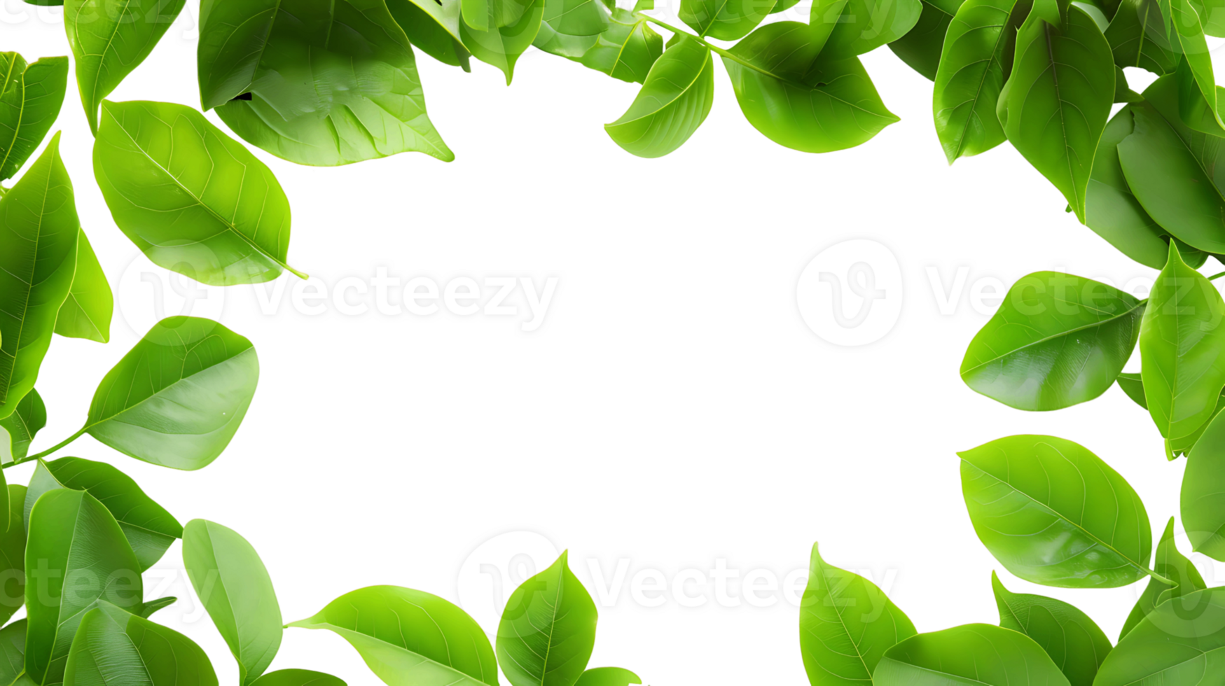Verdant Leaves Frame Transparent Background Cutout png
