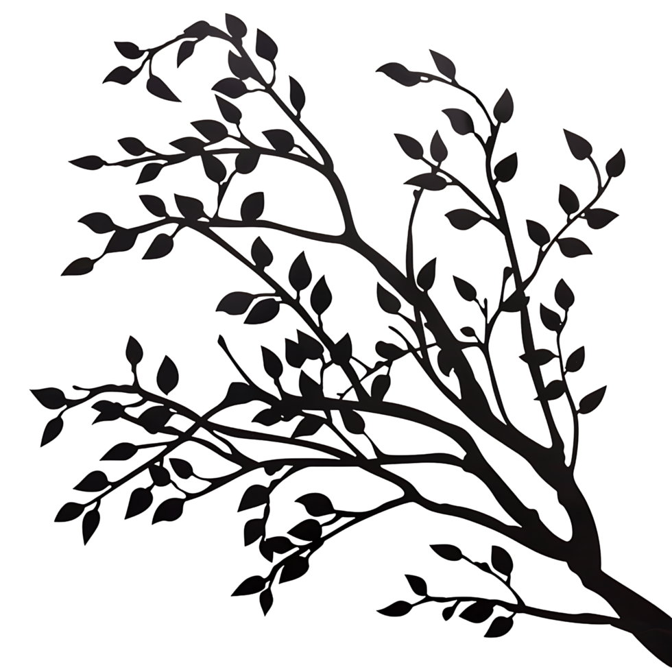 Detailed Branches Silhouette on a Clear Canvas png