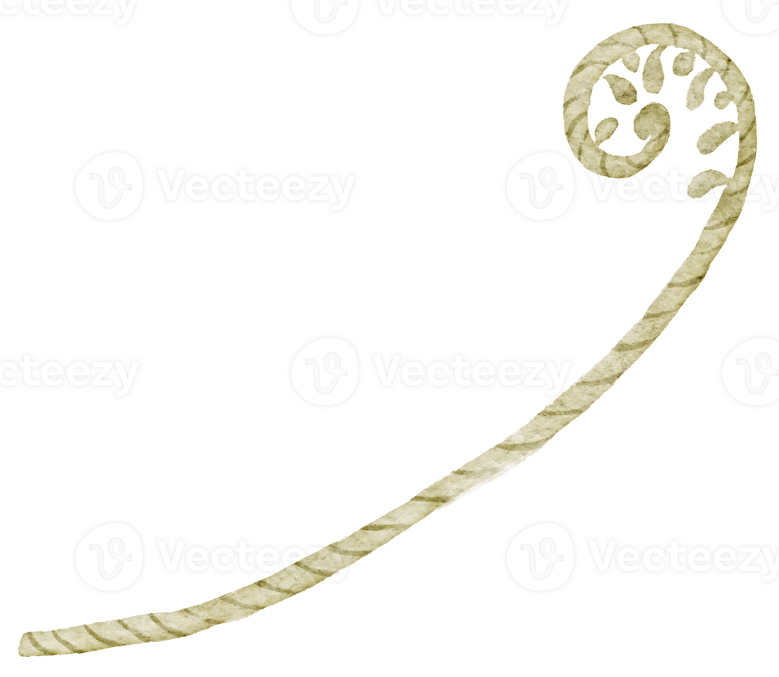 Watercolor green fern png