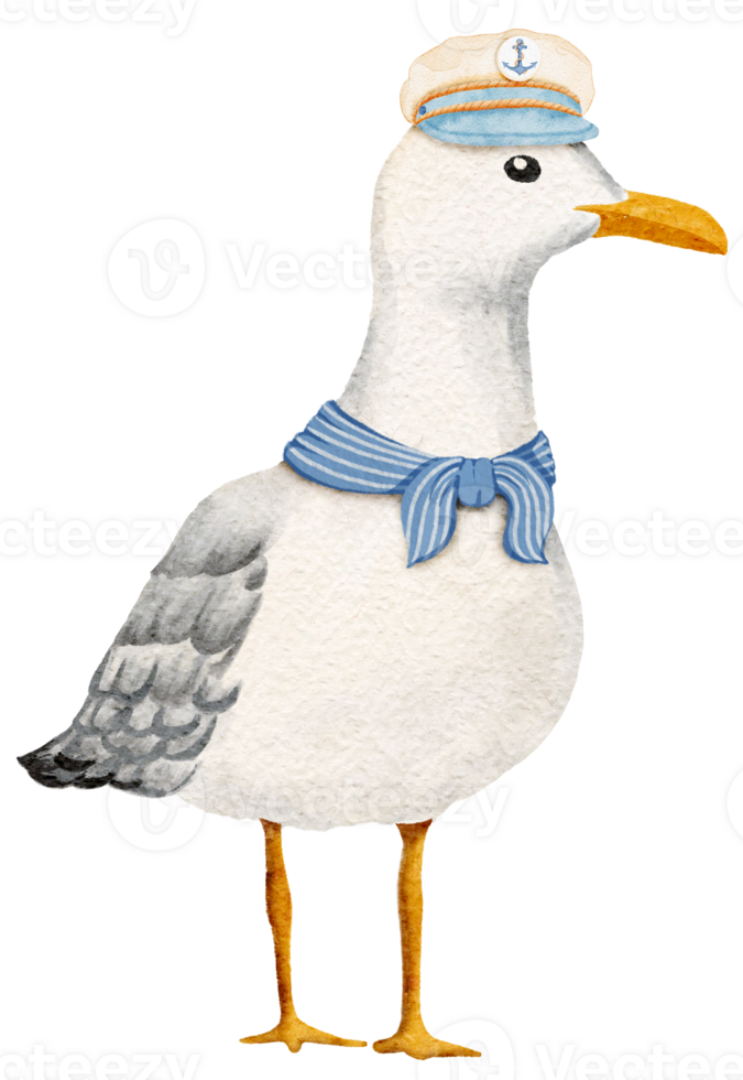 Watercolor Seagull Standing Captain Design png