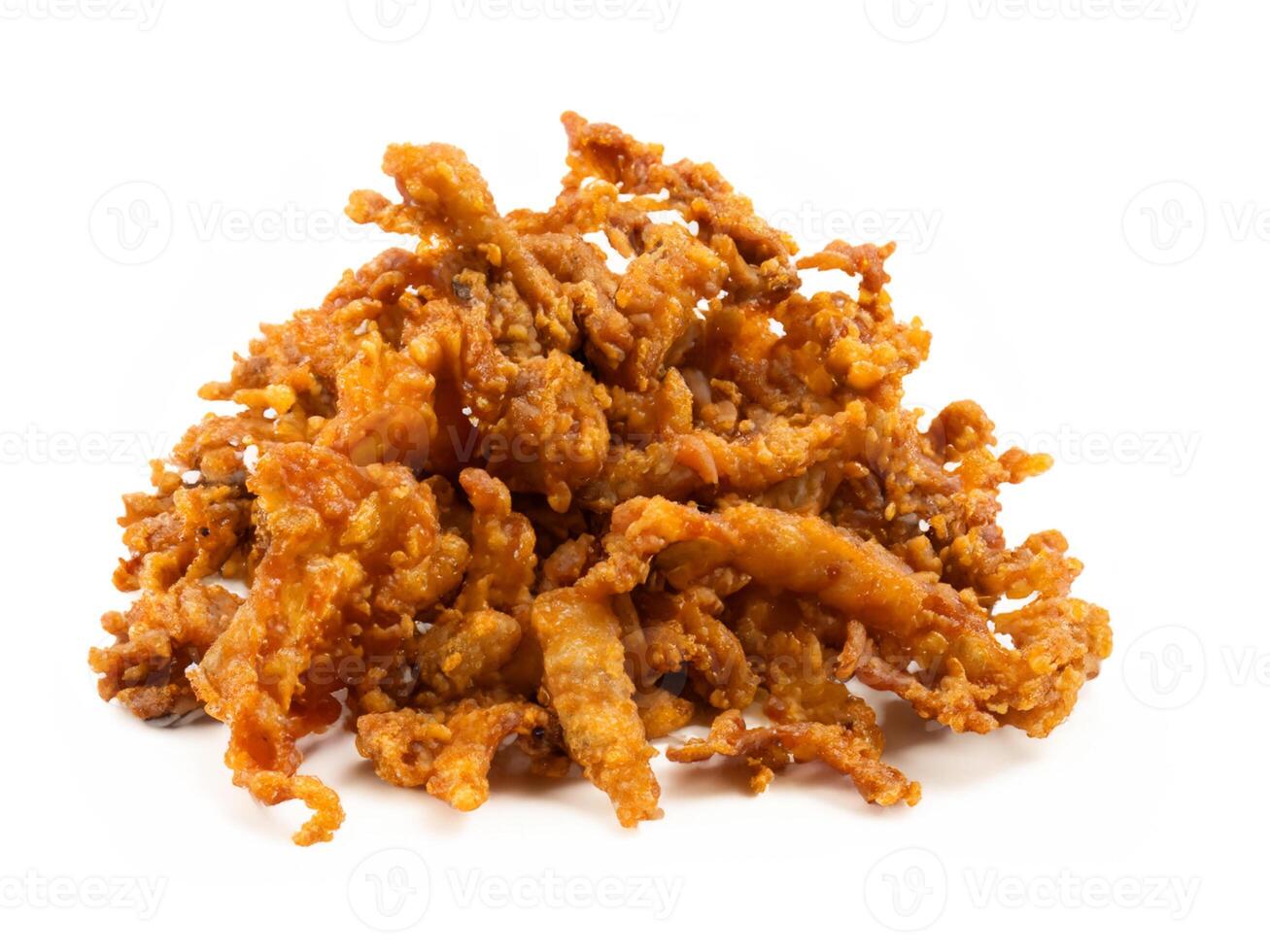fried chicken on a plate isolated on white background photo