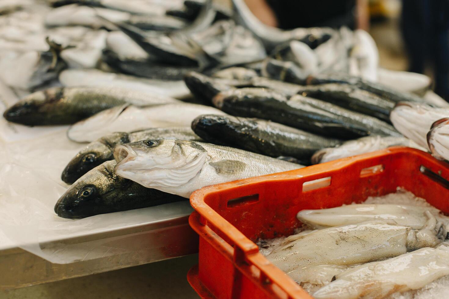 Fresh fish on ice at the traditional fish market. photo