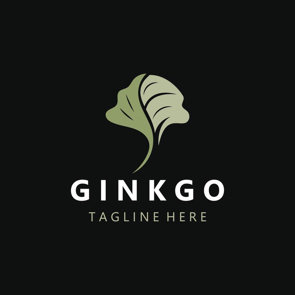 Ginkgo biloba logo nature. Healthy leaf organic used medicine for disease treatment with line art style design vector