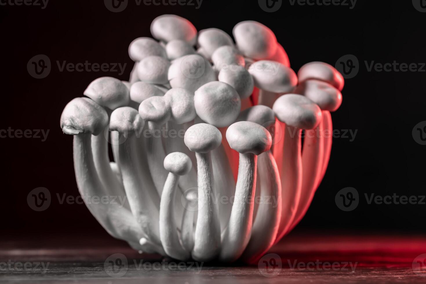 Closeup of a bunch of shimeji mushrooms on dark background, with selective focus photo
