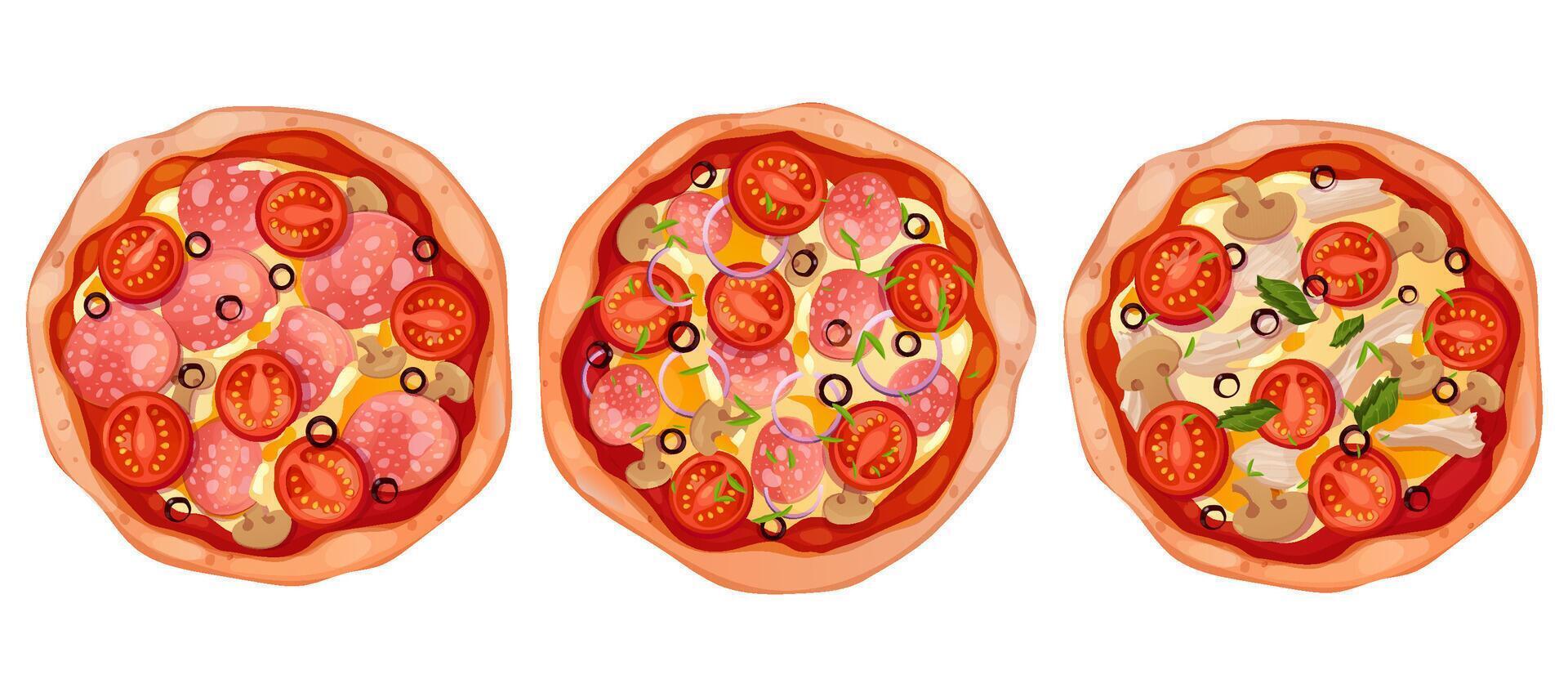 Pizza set top view with salami, olives, tomato and mushrooms isolated on white background. Whole pizza collection with cheese, tasty italian food. vector