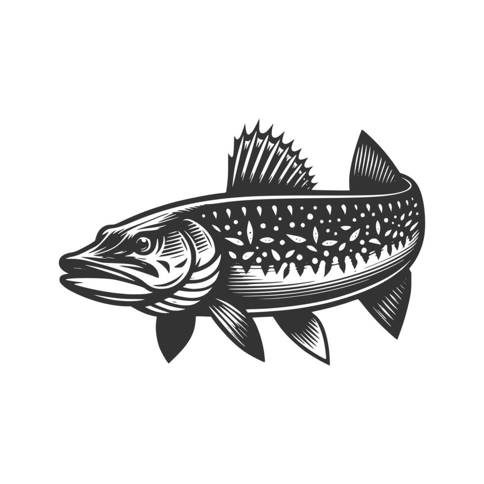 Fish Art Illustration vector