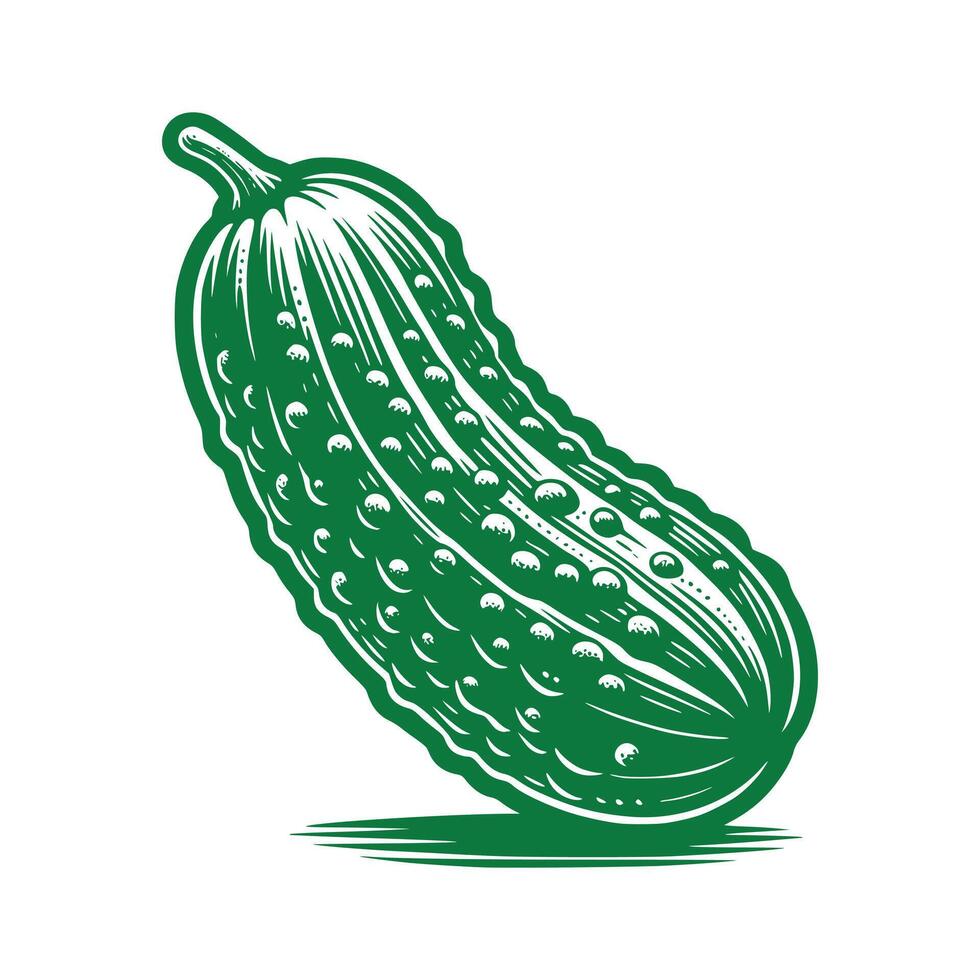 Cucumber Art Illustration vector