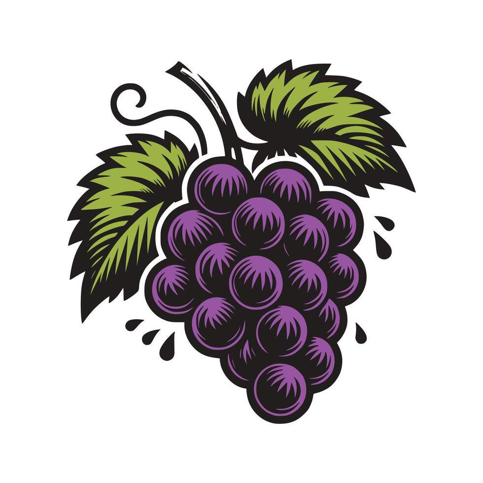 Grapes Art Illustration vector