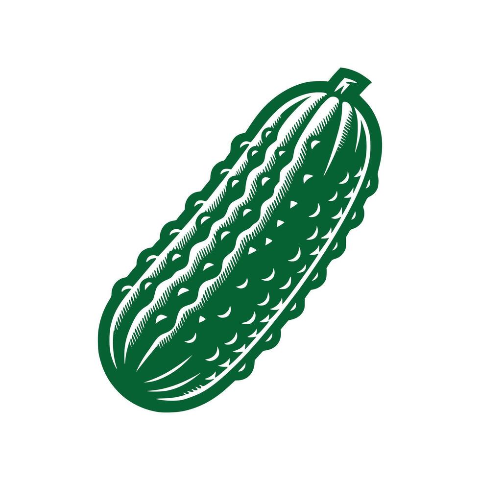 Cucumber Art Illustration vector