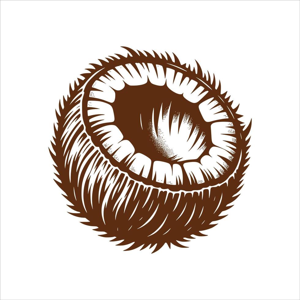 Coconut Art Illustration vector