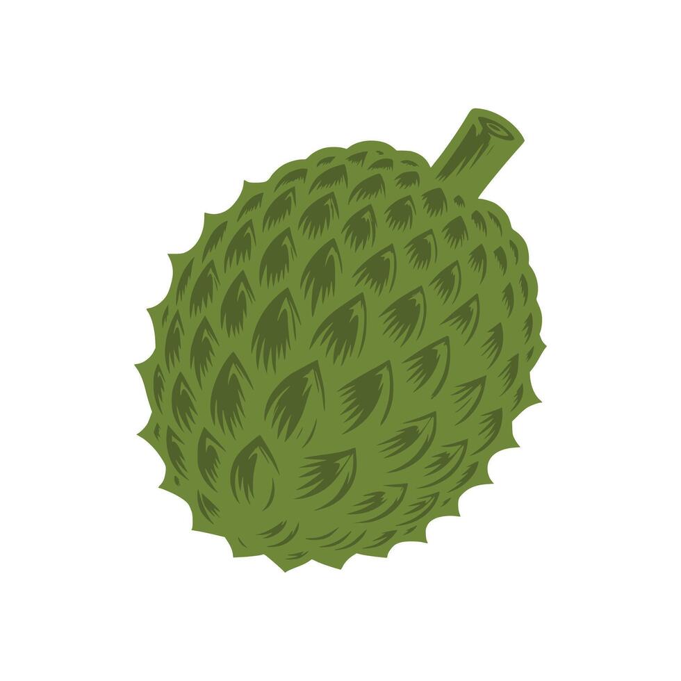 Jackfruit Art Illustration vector
