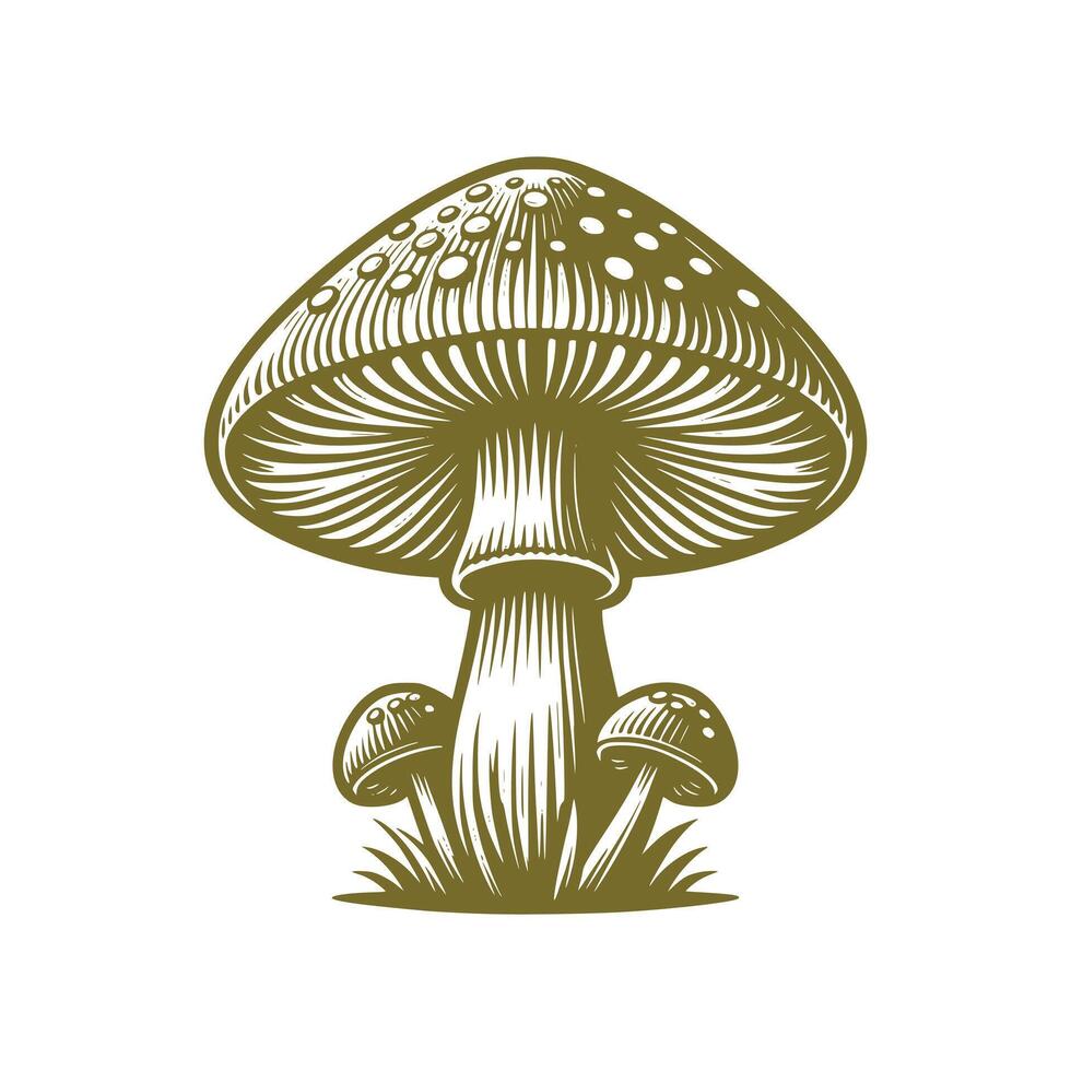 Mushroom Art Illustration vector