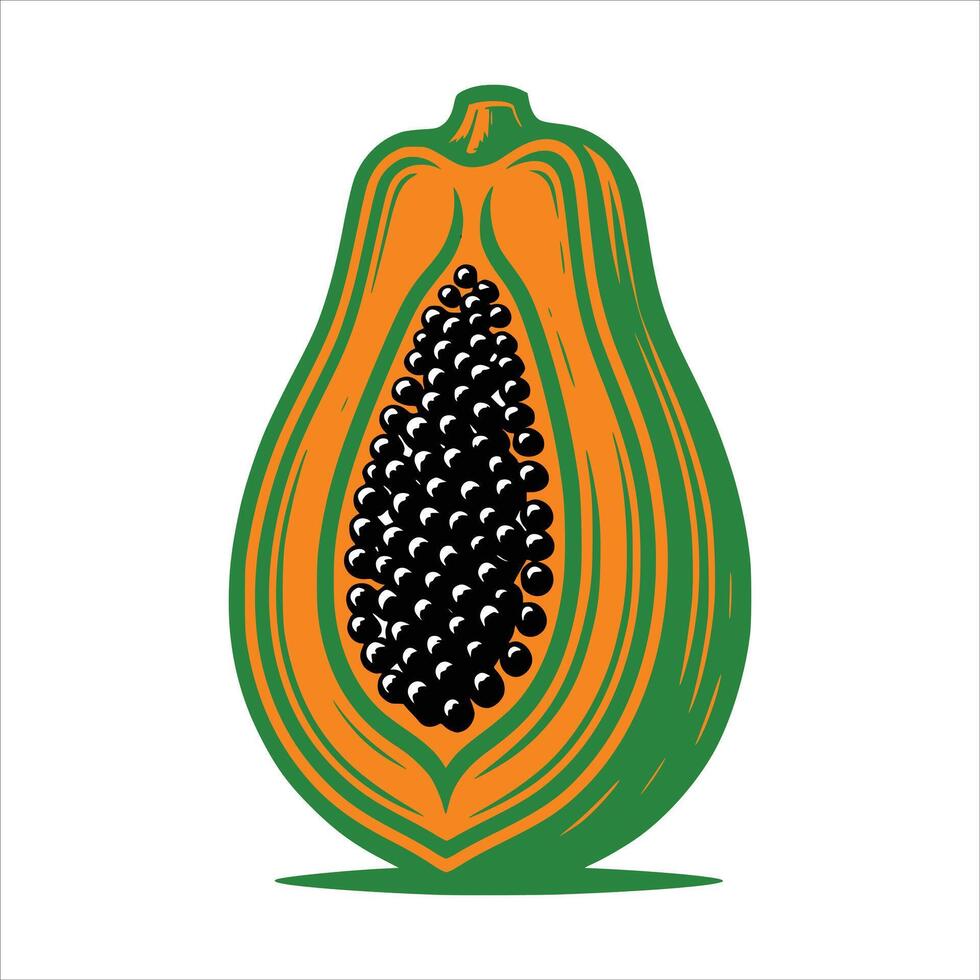 Papaya Art Illustration vector