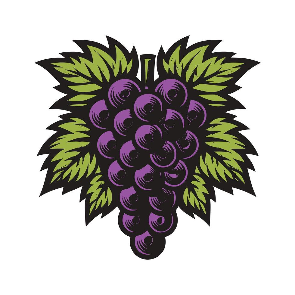 Grapes Art Illustration vector