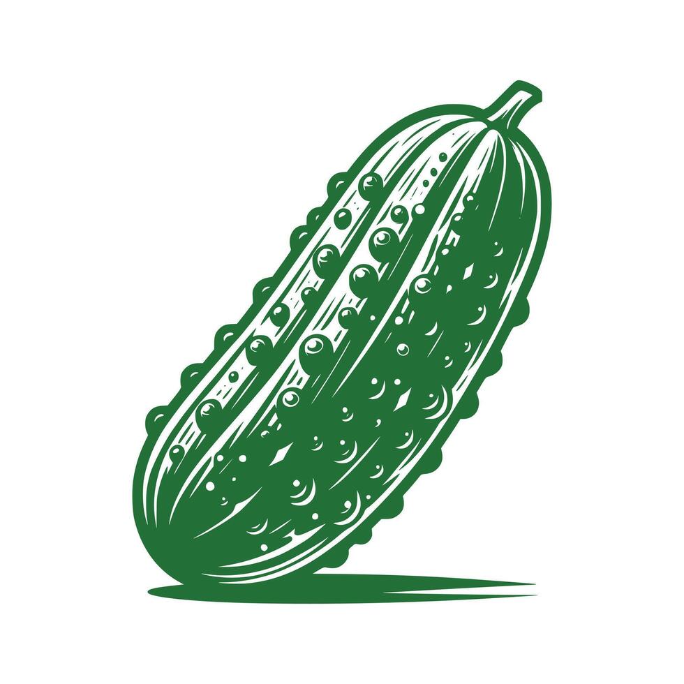 Cucumber Art Illustration vector