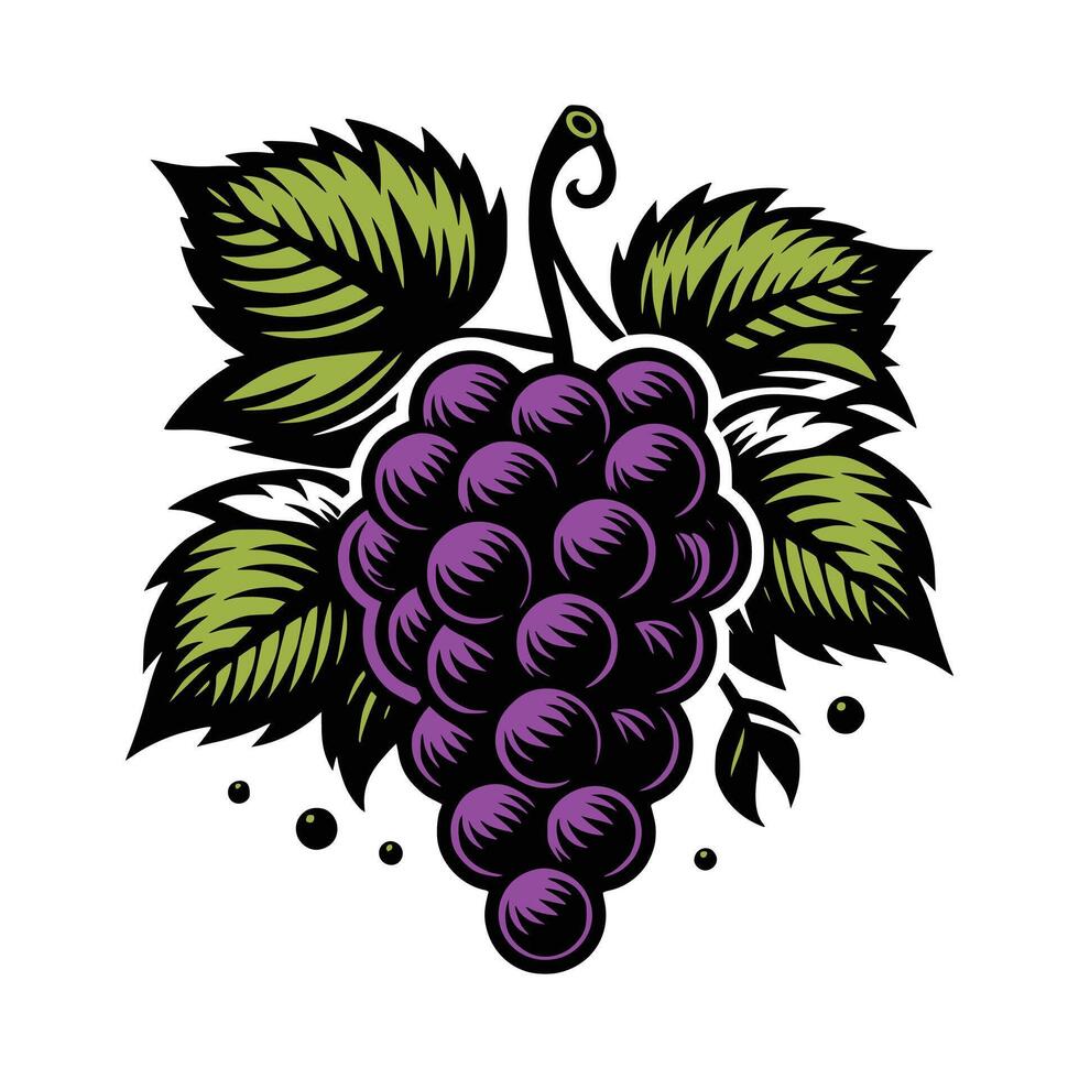 Grapes Art Illustration vector