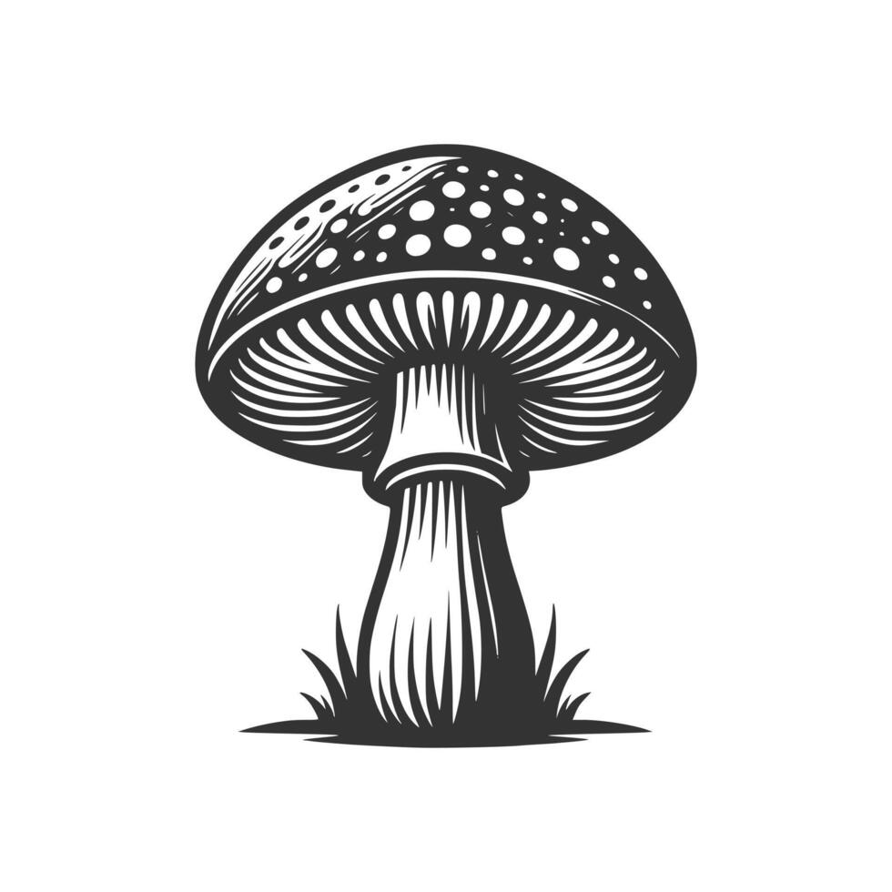 Mushroom Art Illustration vector