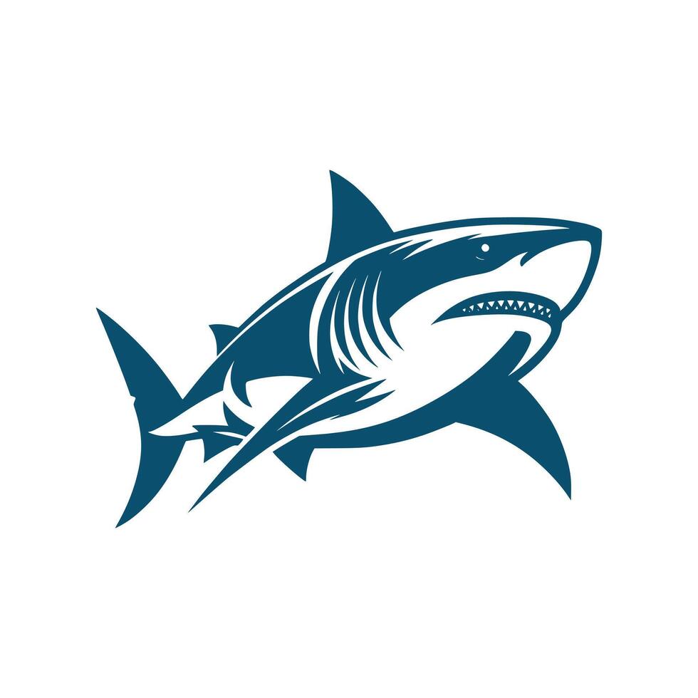 Shark Art Illustration vector