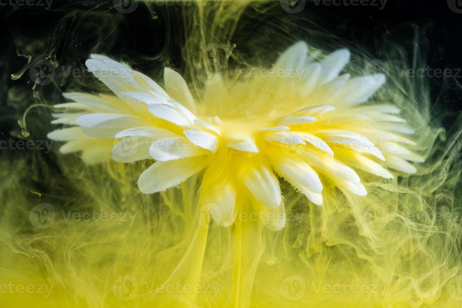beautiful flower with white petals in clouds of yellow smoke on black background, photo underwater, clouds of paint in water, aquarium, spring concept, creativity, art