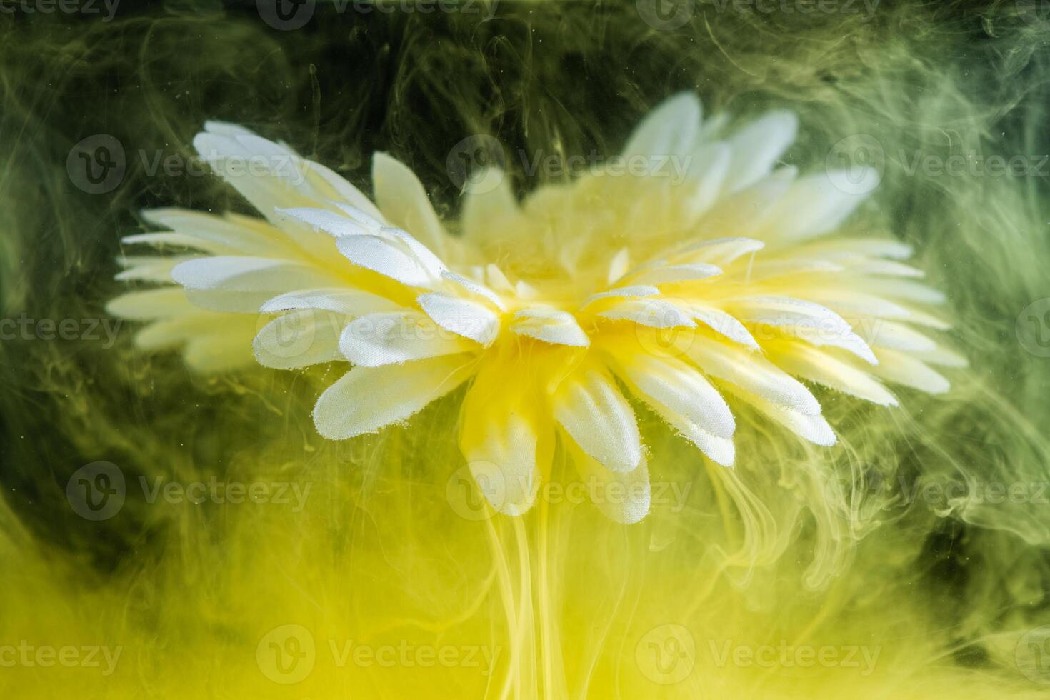 beautiful flower with white petals in clouds of yellow smoke on black background, photo underwater, clouds of paint in water, aquarium, spring concept, creativity, art