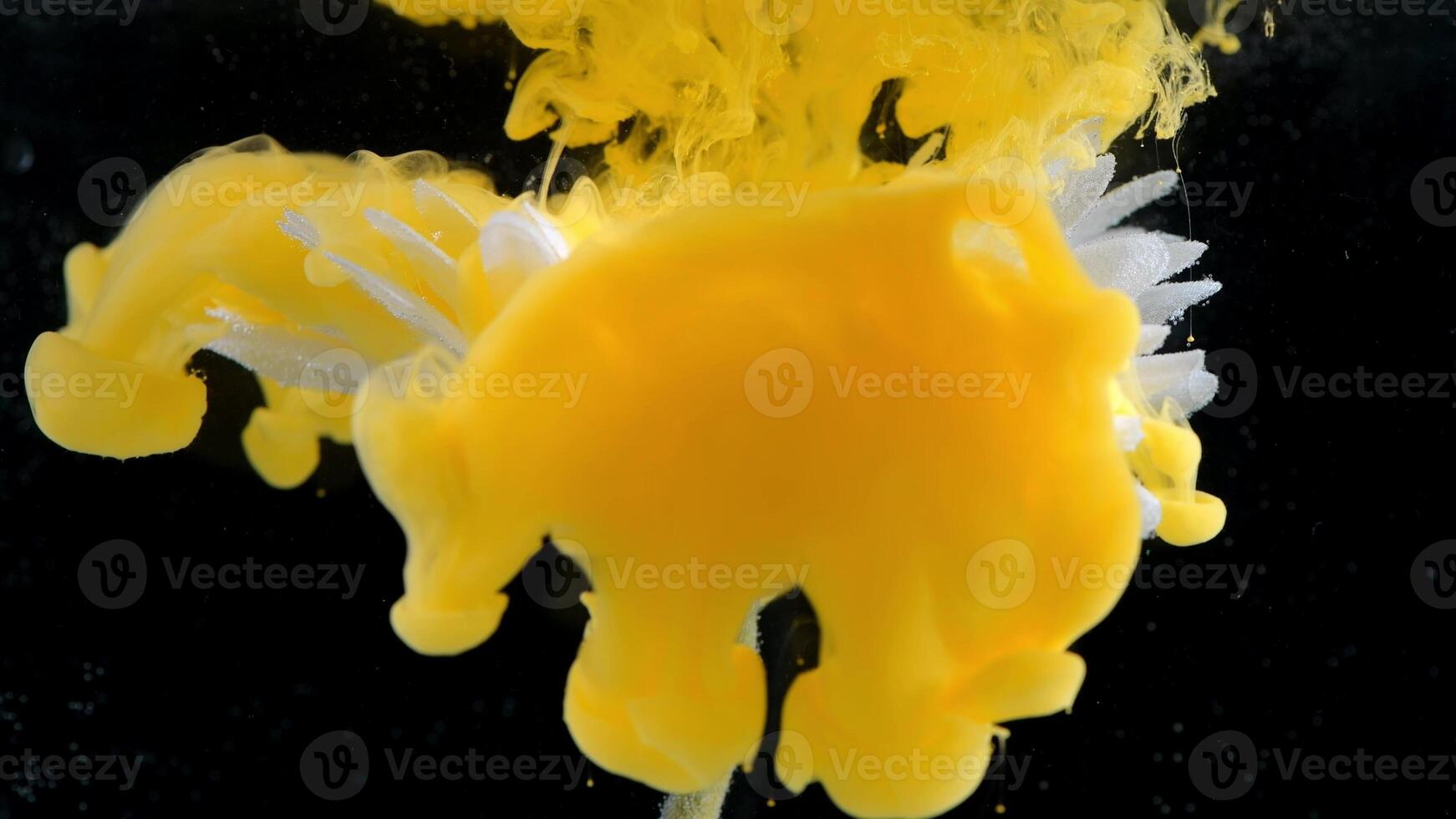 beautiful flower with white petals in clouds of yellow orange smoke on black background, photo underwater, clouds of paint in water, aquarium, spring concept, creativity, art