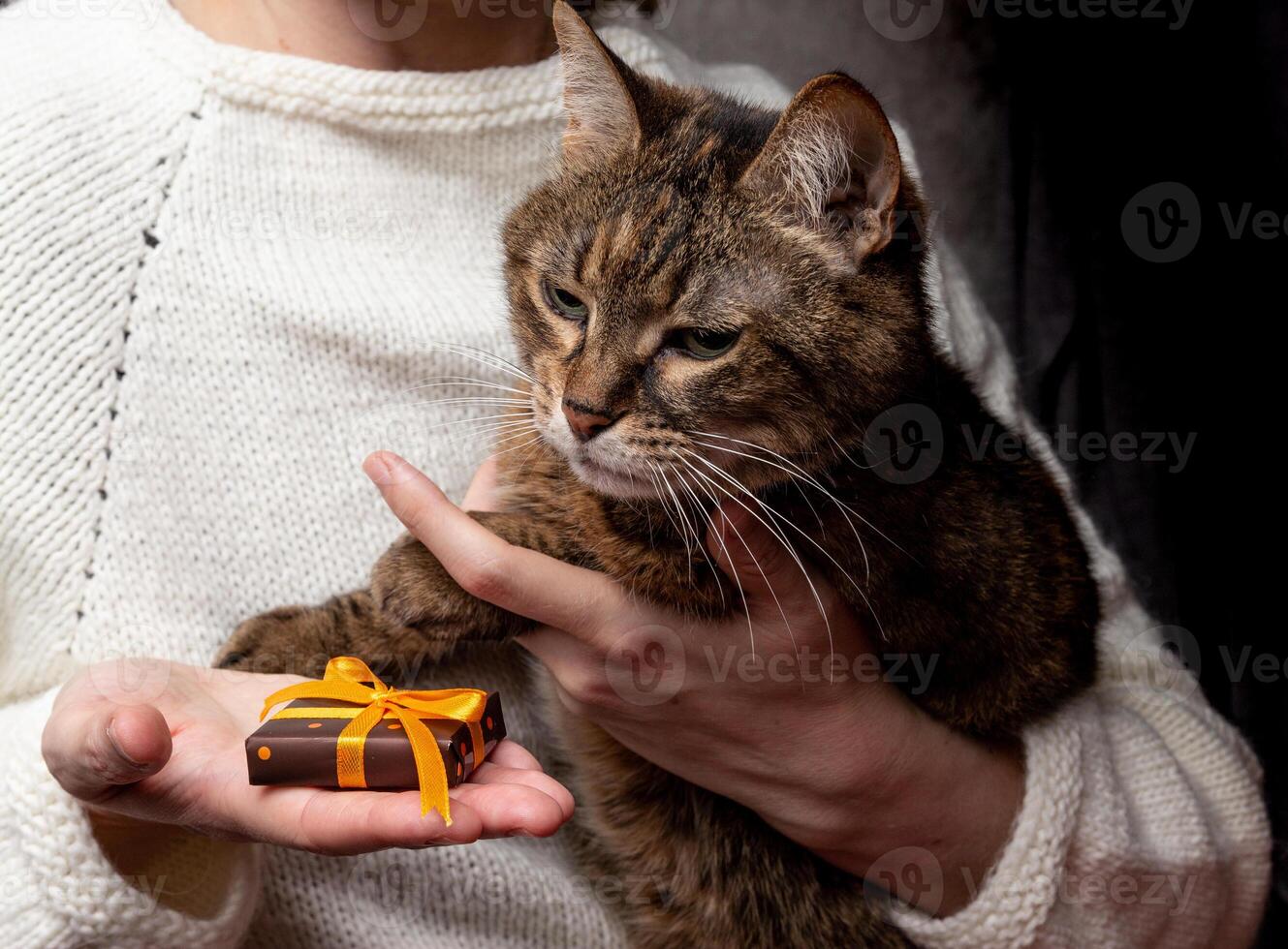 Girl in white handmade sweater holds cat and presents it a gift box with color paper with polka dots tied yellow ribbon. Christmas and New Year card, banner, advertising concept. photo
