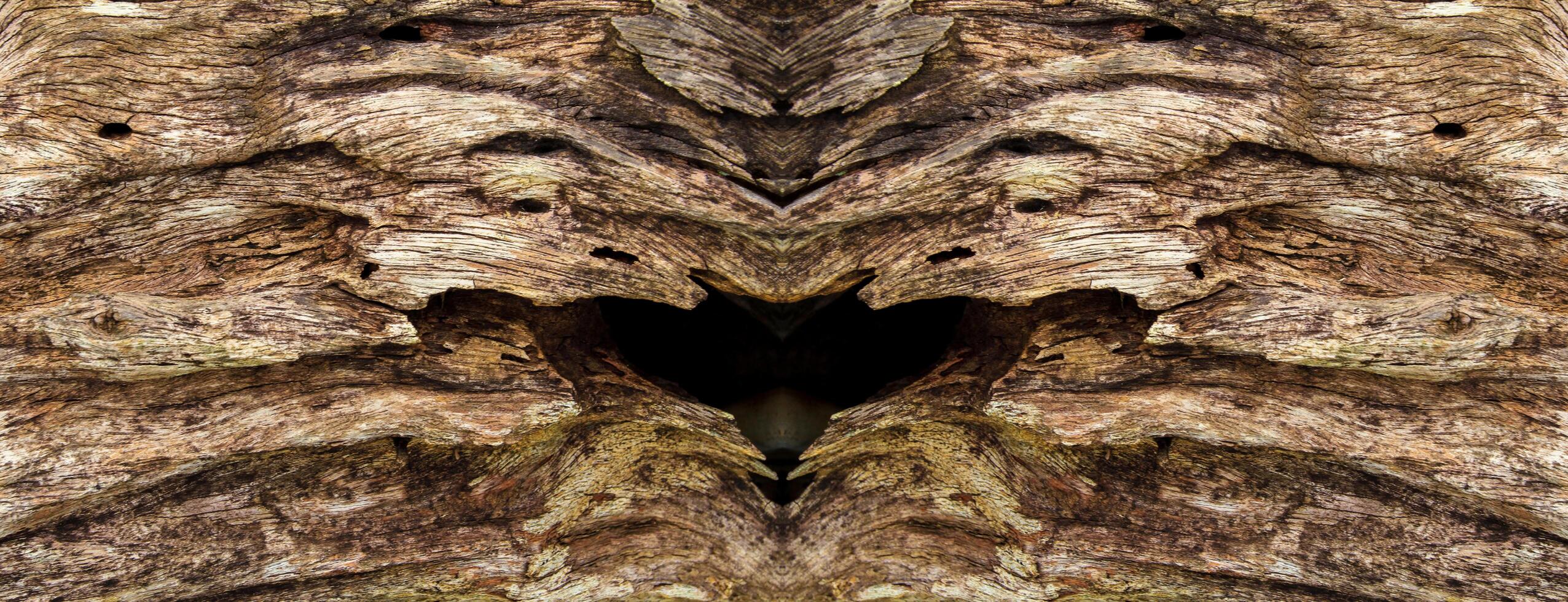 Wooden texture wallpapper with equal two-sided pattern. photo