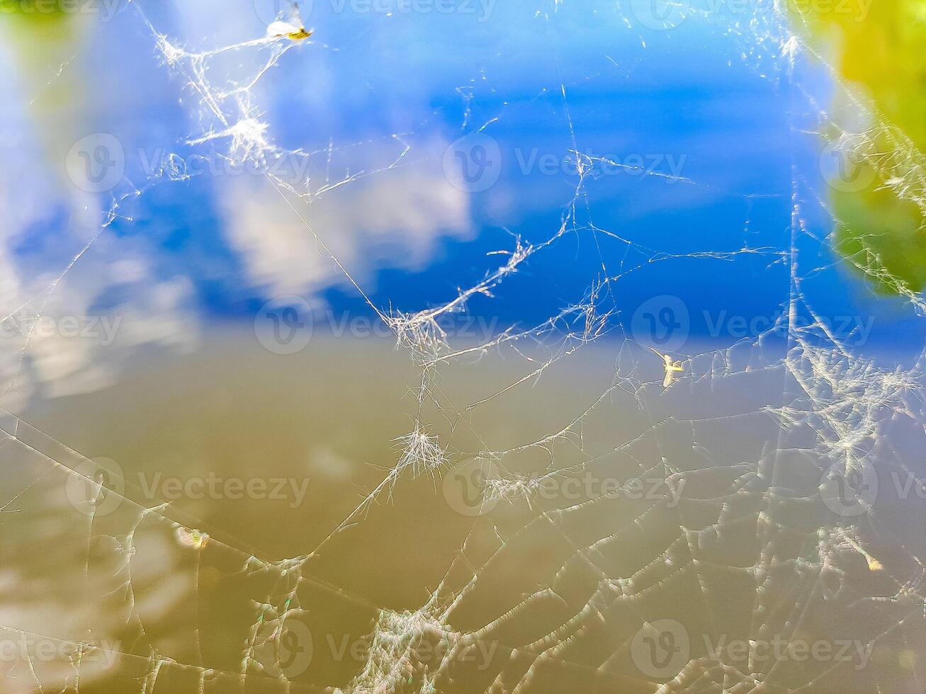 Spectacular sunrise on a river with a spider web on which the focus is placed photo