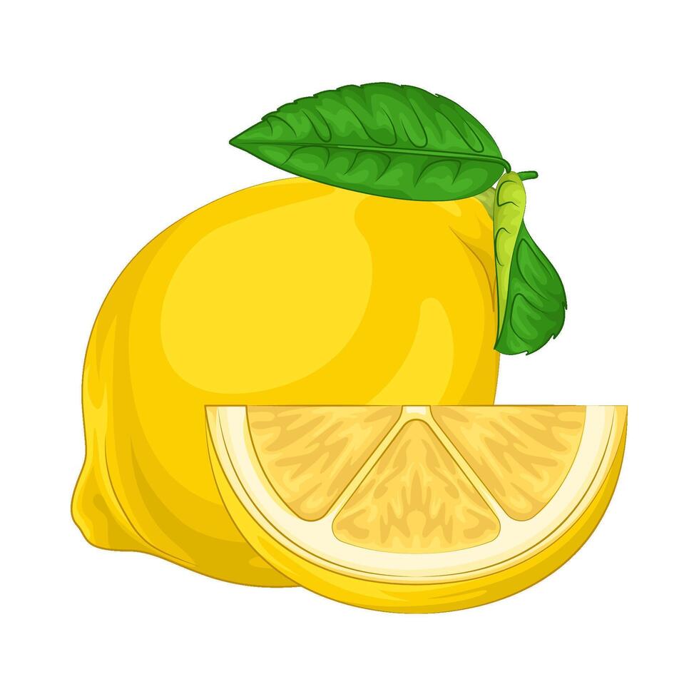 Illustration of lemon vector