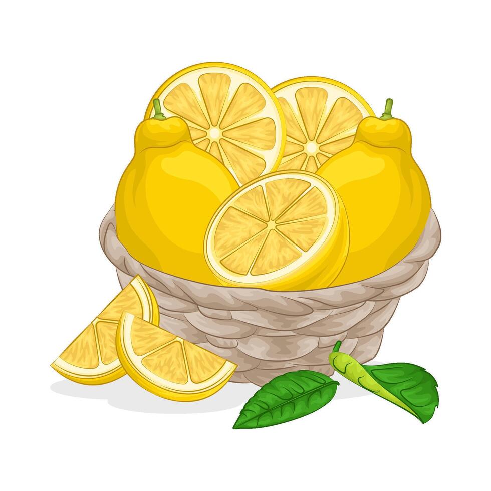 Illustration of lemon vector