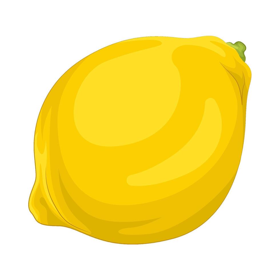 Illustration of lemon vector