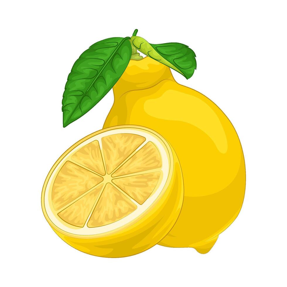 Illustration of lemon vector