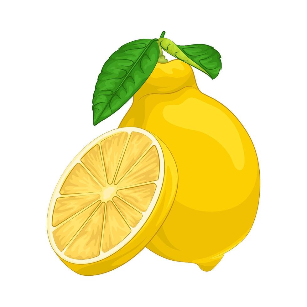 Illustration of lemon vector