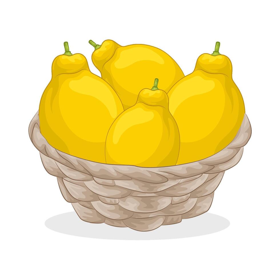 Illustration of lemon vector