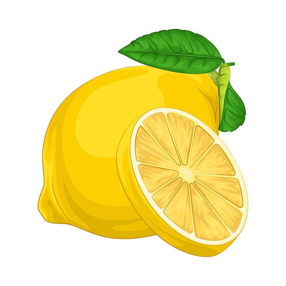 Illustration of lemon vector